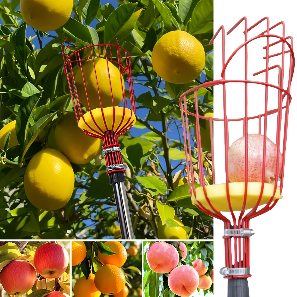 🔥OFERTA 1+1!🔥FruitReach™ – Cap Culegator de Fructe pentru Inaltimi Mari