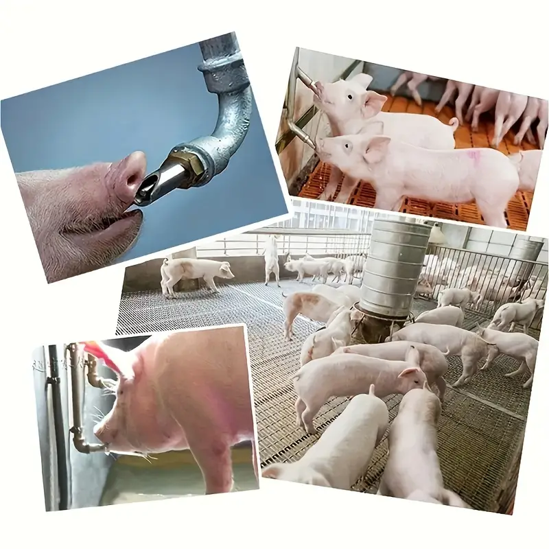 Pigex™ - Set 5 Niplu Automat pentru Adapare Porci si Animale Domestice