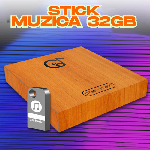 Stick USB pentru masina cu 250 de piese DTS5.1 (32 GB)