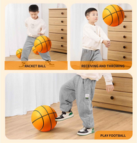 Thumbnail for Minge de Basket fara Zgomot pentru Joaca in Casa