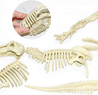 Thumbnail for Kit Jucarie de sapaturi pentru fosile de dinozaur