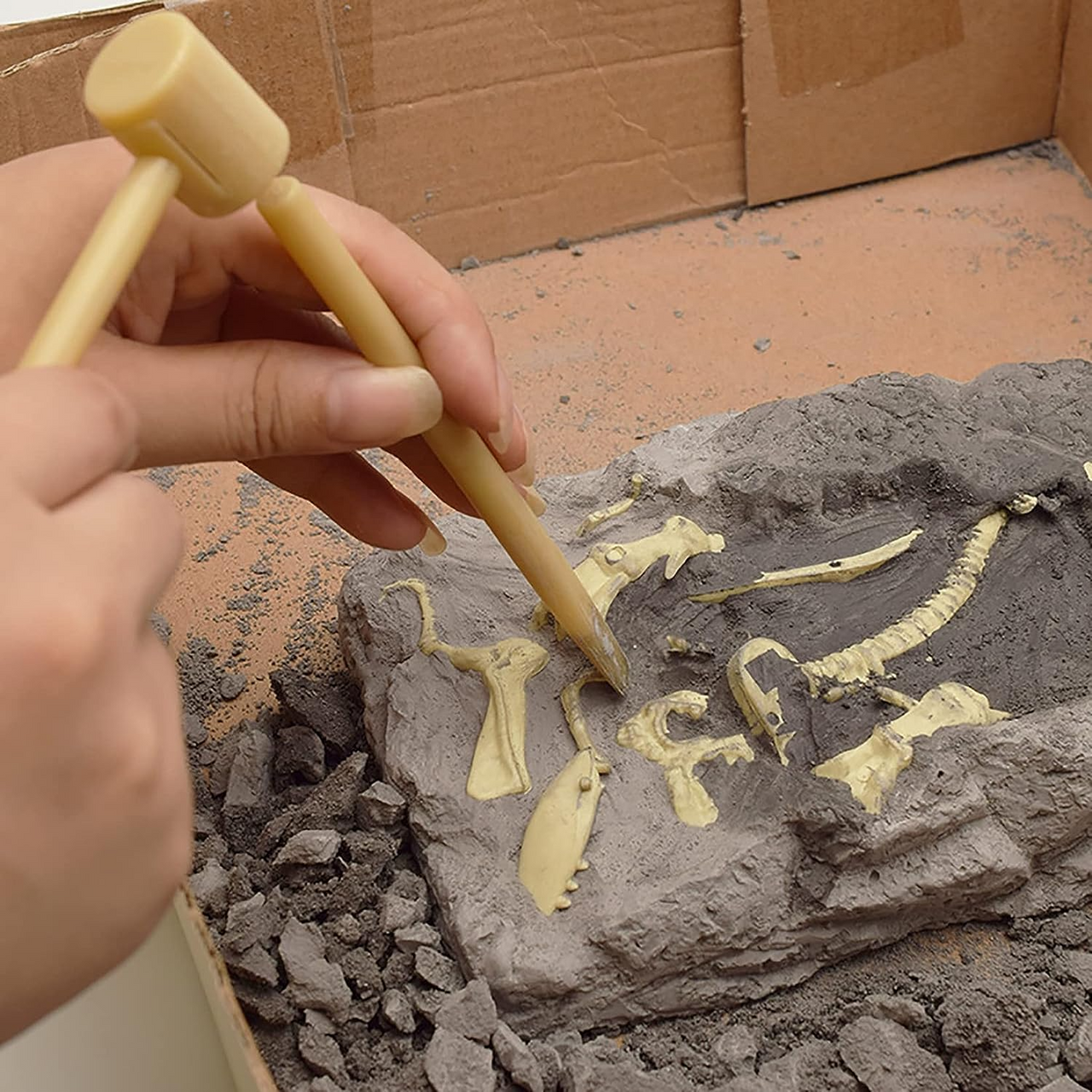 Kit Jucarie de sapaturi pentru fosile de dinozaur