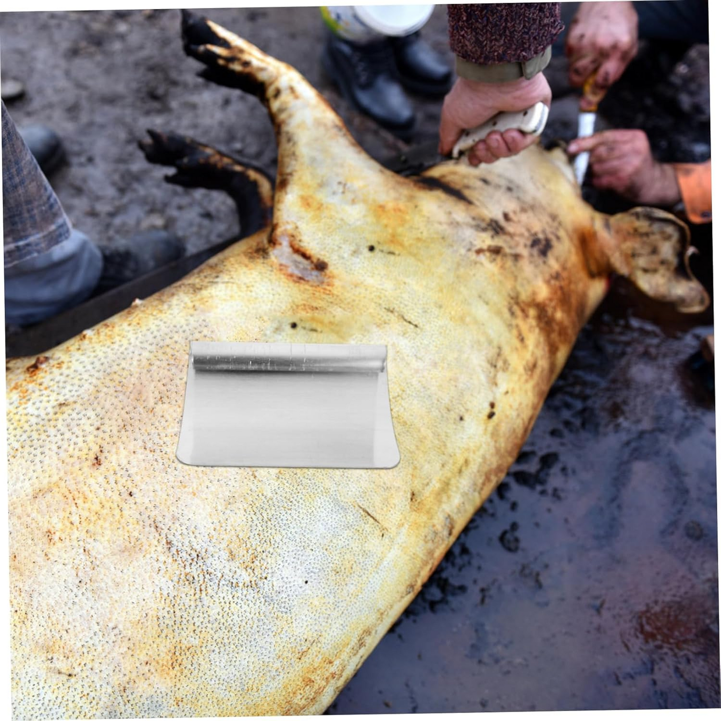 HogClean Pro™ – Razuitor profesional din otel inoxidabil pentru par de porc