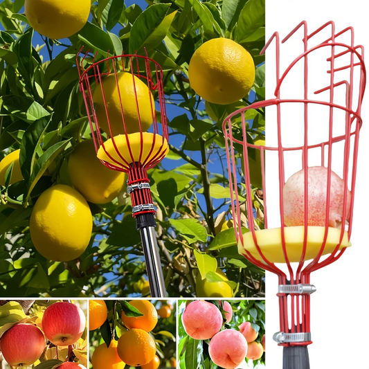 🔥OFERTA 1+1!🔥FruitReach™ – Cap Culegator de Fructe pentru Inaltimi Mari