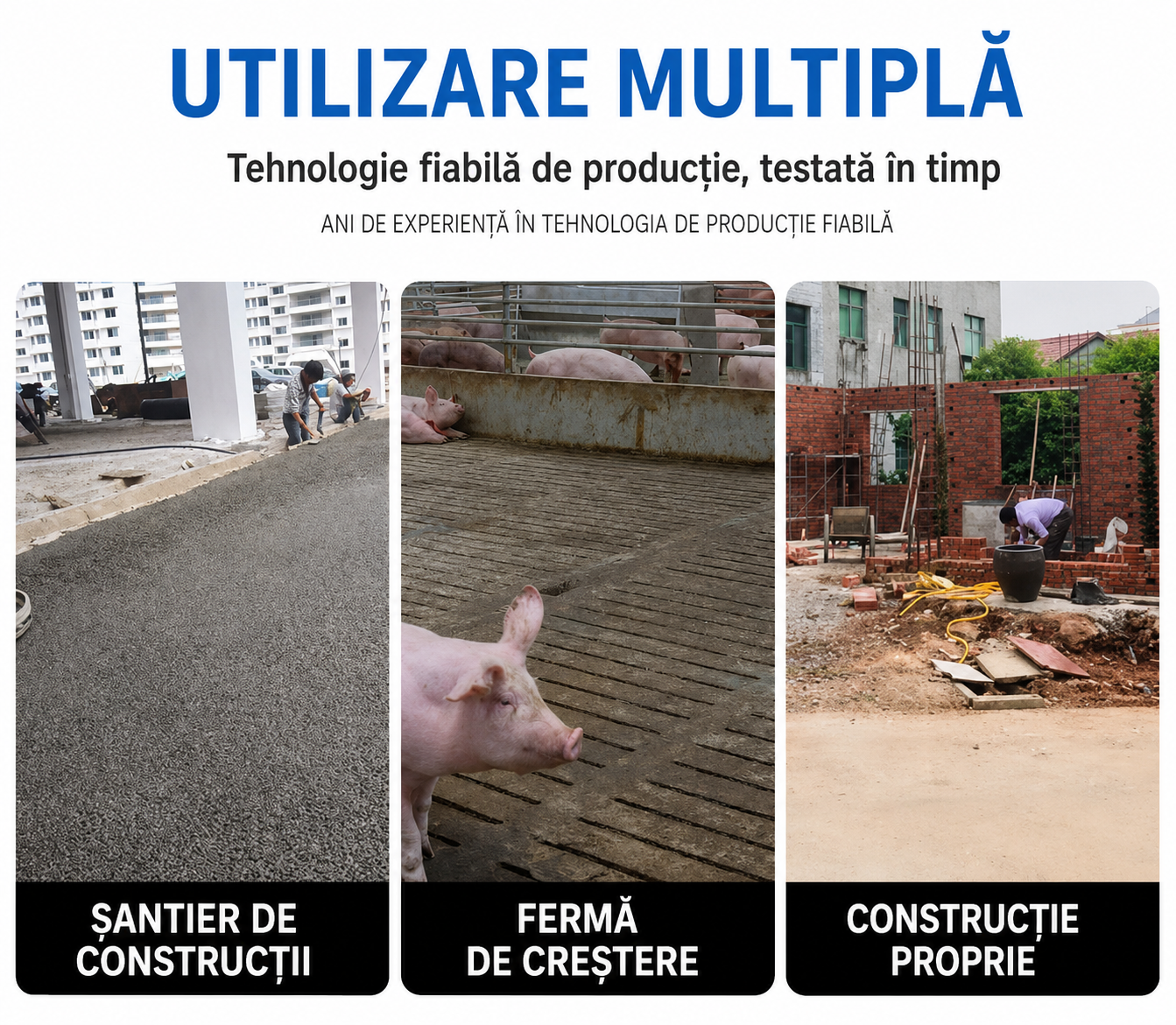 Roaba Profesionala cu 2 Roti Pneumatice