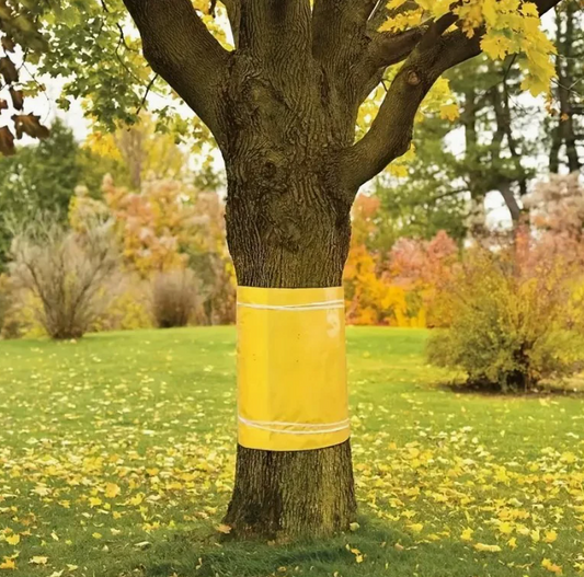 TreeGuard™ – Banda Adeziva Impotriva Insectelor si Tantarilor