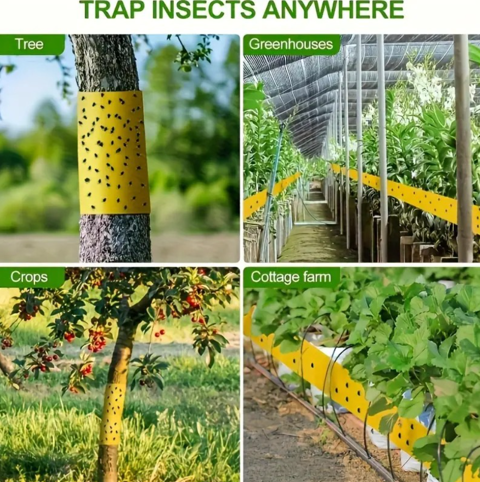 TreeGuard™ – Banda Adeziva Impotriva Insectelor si Tantarilor