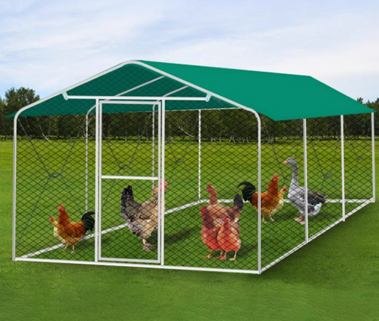 ShelterMax – Adapost Exterior si Voliera Multifunctionala pentru Pasari (2x3x4m)