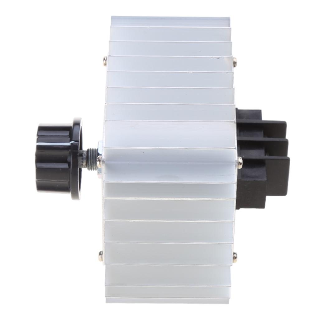 PowerReg™ Regulator de Tensiune 220V / 5000W cu Radiator