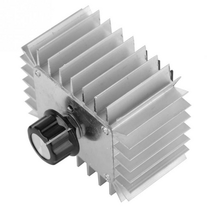 PowerReg™ Regulator de Tensiune 220V / 5000W cu Radiator