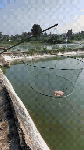 CatchMaster — plasă de pescuit pliabilă 150 / 120 cm